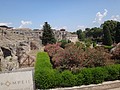 DSC05547.JPG
