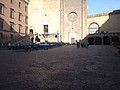 DSC05555.JPG