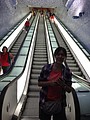 DSC05579.JPG