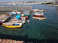 DSC05589.JPG