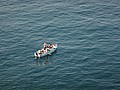 DSC05591.JPG