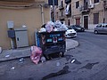 DSC05613.JPG