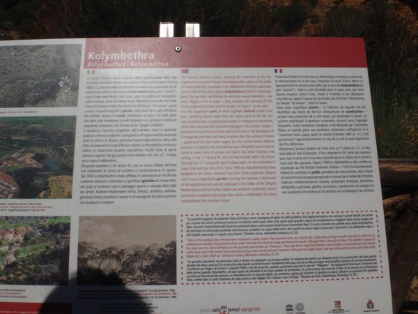 DSC05755.JPG