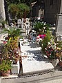DSC05689.JPG