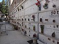 DSC05691.JPG