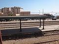 DSC05701.JPG