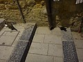 DSC05717.JPG