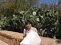 DSC05743.JPG