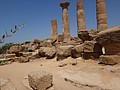 DSC05753.JPG