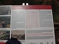 DSC05755.JPG