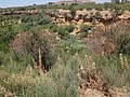 DSC05756.JPG