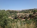 DSC05758.JPG