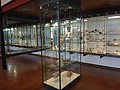 DSC05766.JPG