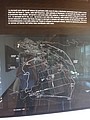 DSC05770.JPG