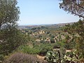 DSC05771.JPG