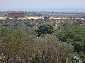 DSC05775.JPG