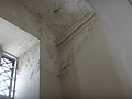 DSC05886.JPG