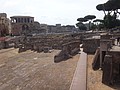 DSC05895.JPG