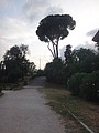 DSC05984.JPG