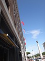DSC06113.JPG