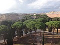DSC06137.JPG