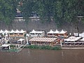 DSC06150.JPG