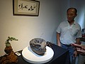 DSC06232.JPG