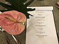 20190918_190923_0005.jpg