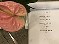 20190918_190923_0007.jpg