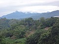 DSC06415.JPG