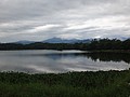DSC06420.JPG
