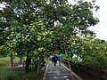 DSC06421.JPG