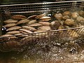 IMAG0555.jpg