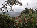 DSC06729.JPG