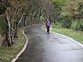 DSC06730.JPG