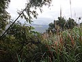DSC06731.JPG