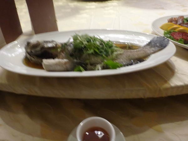 DSC06781.JPG