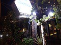DSC06835.JPG