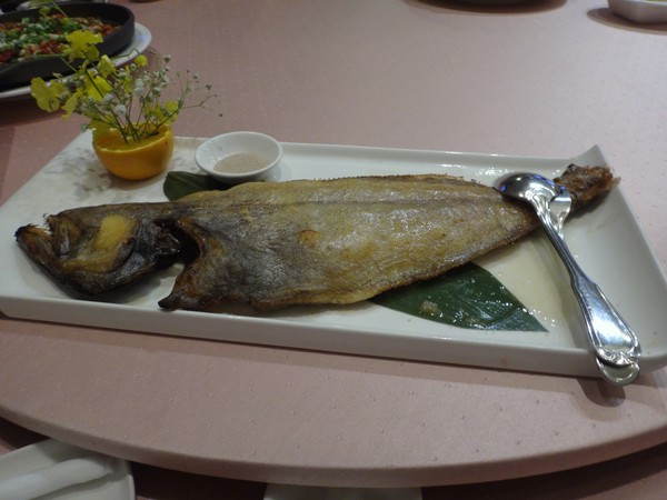 DSC06992.JPG