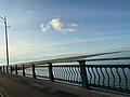 S__94888006.jpg