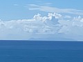 S__94888027.jpg