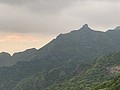 S__95060000.jpg