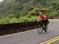S__95060003.jpg