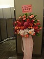 DSC07034.JPG