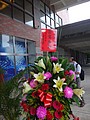 DSC07045.JPG