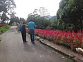 DSC07175.JPG