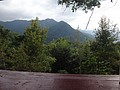 DSC07181.JPG