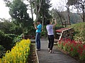 DSC07183.JPG