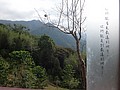 DSC07188.JPG