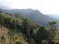 DSC07190.JPG